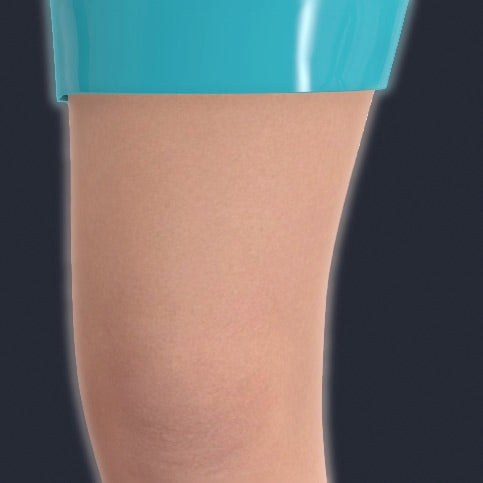 Legs